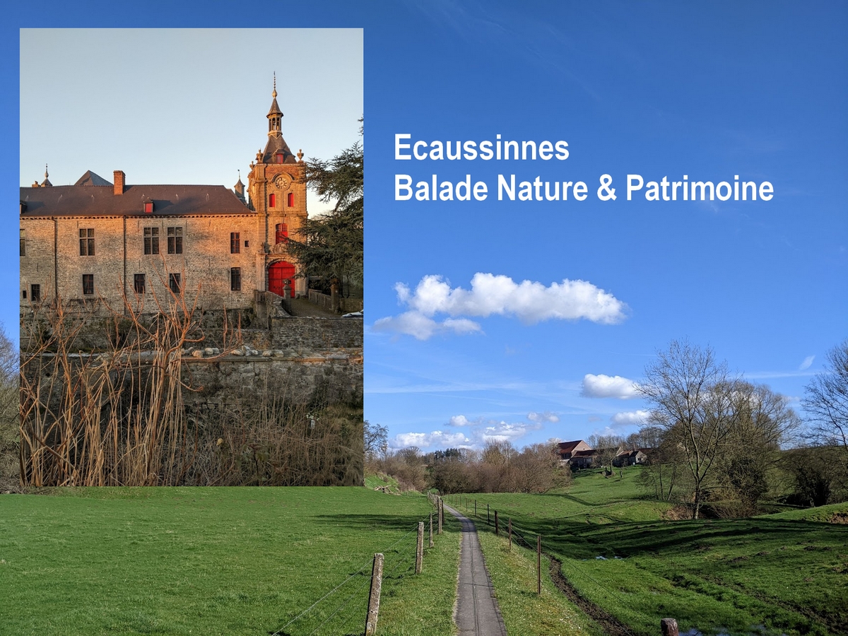 Ecaussinnes – balade Nature et Patrimoine